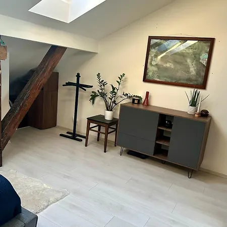 Loft S Duší, Klidem A Terasou V Srdci Brna Apartmán *