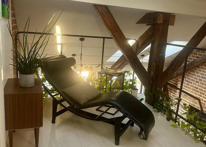 Loft S Dusi, Klidem A Terasou V Srdci Brna Apartament *