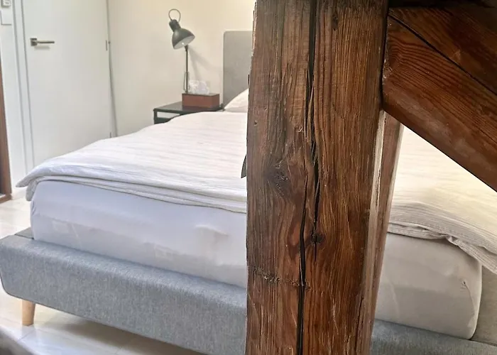 Loft S Dusi, Klidem A Terasou V Srdci Brna