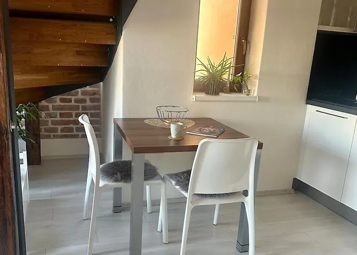 Apartament Loft S Dusi, Klidem A Terasou V Srdci Brna Brno