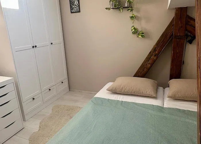 Apartament Loft S Dusi, Klidem A Terasou V Srdci Brna