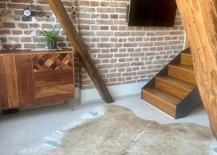 Loft S Dusi, Klidem A Terasou V Srdci Brna