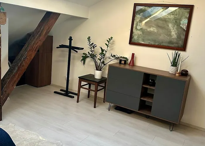 Loft S Dusi, Klidem A Terasou V Srdci Brna Apartament *