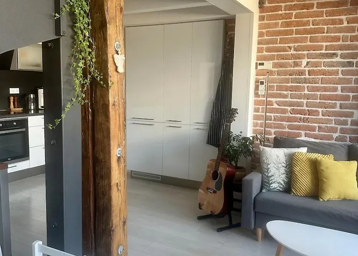Loft S Dusi, Klidem A Terasou V Srdci Brna Apartament Brno
