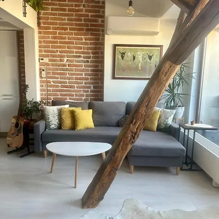 Loft S Dusi, Klidem A Terasou V Srdci Brna * Brno