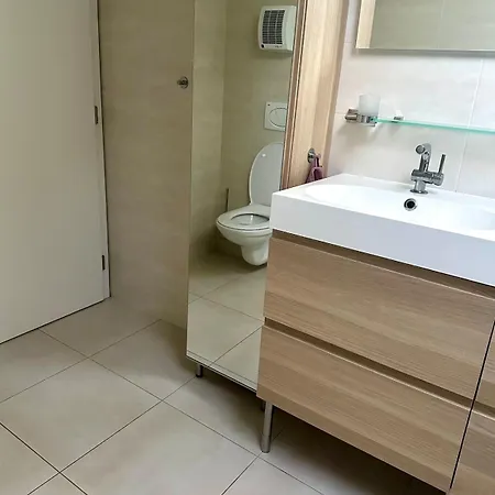 Lejlighed Loft S Dusi, Klidem A Terasou V Srdci Brna