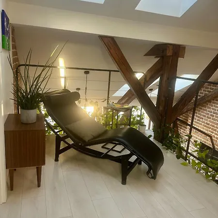 Loft S Dusi, Klidem A Terasou V Srdci Brna Lejlighed *