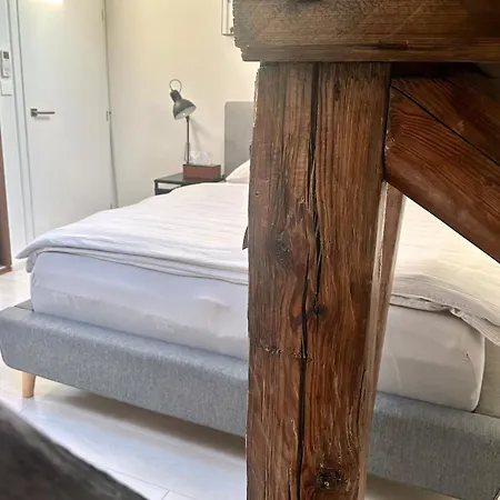 Loft S Dusi, Klidem A Terasou V Srdci Brna