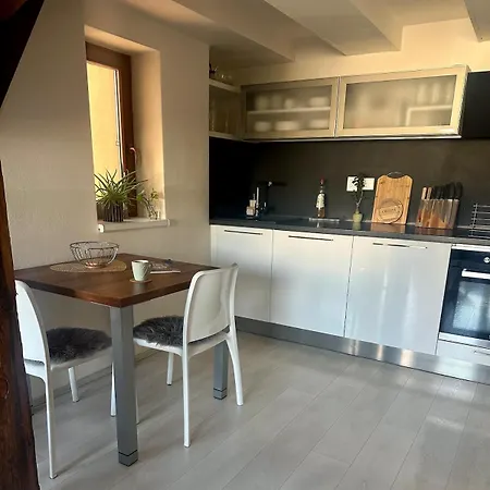 Loft S Dusi, Klidem A Terasou V Srdci Brna * Brno