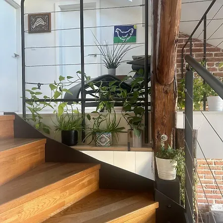 Lejlighed Loft S Dusi, Klidem A Terasou V Srdci Brna *