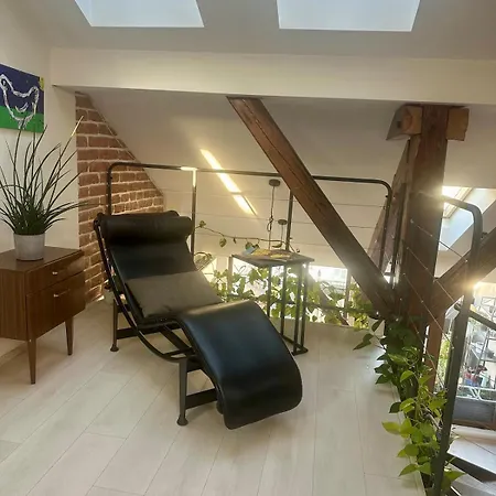 Loft S Dusi, Klidem A Terasou V Srdci Brna *