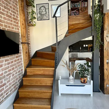 Loft S Dusi, Klidem A Terasou V Srdci Brna Lejlighed *