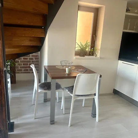 Lejlighed Loft S Dusi, Klidem A Terasou V Srdci Brna Brno