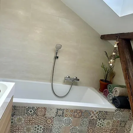 Loft S Dusi, Klidem A Terasou V Srdci Brna ブルノ
