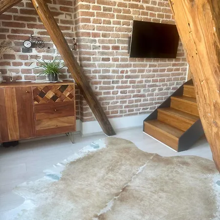 Loft S Dusi, Klidem A Terasou V Srdci Brna