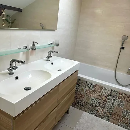 Lejlighed Loft S Dusi, Klidem A Terasou V Srdci Brna