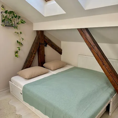 Loft S Dusi, Klidem A Terasou V Srdci Brna