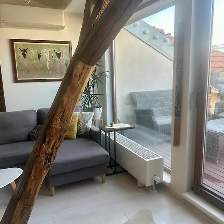 Loft S Dusi, Klidem A Terasou V Srdci Brna