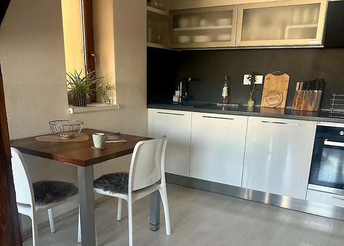Loft S Dusi, Klidem A Terasou V Srdci Brna * Brno