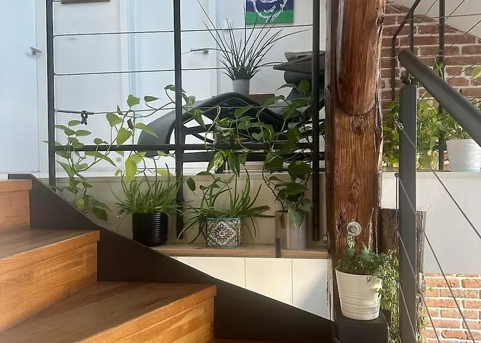 Lägenhet Loft S Dusi, Klidem A Terasou V Srdci Brna *